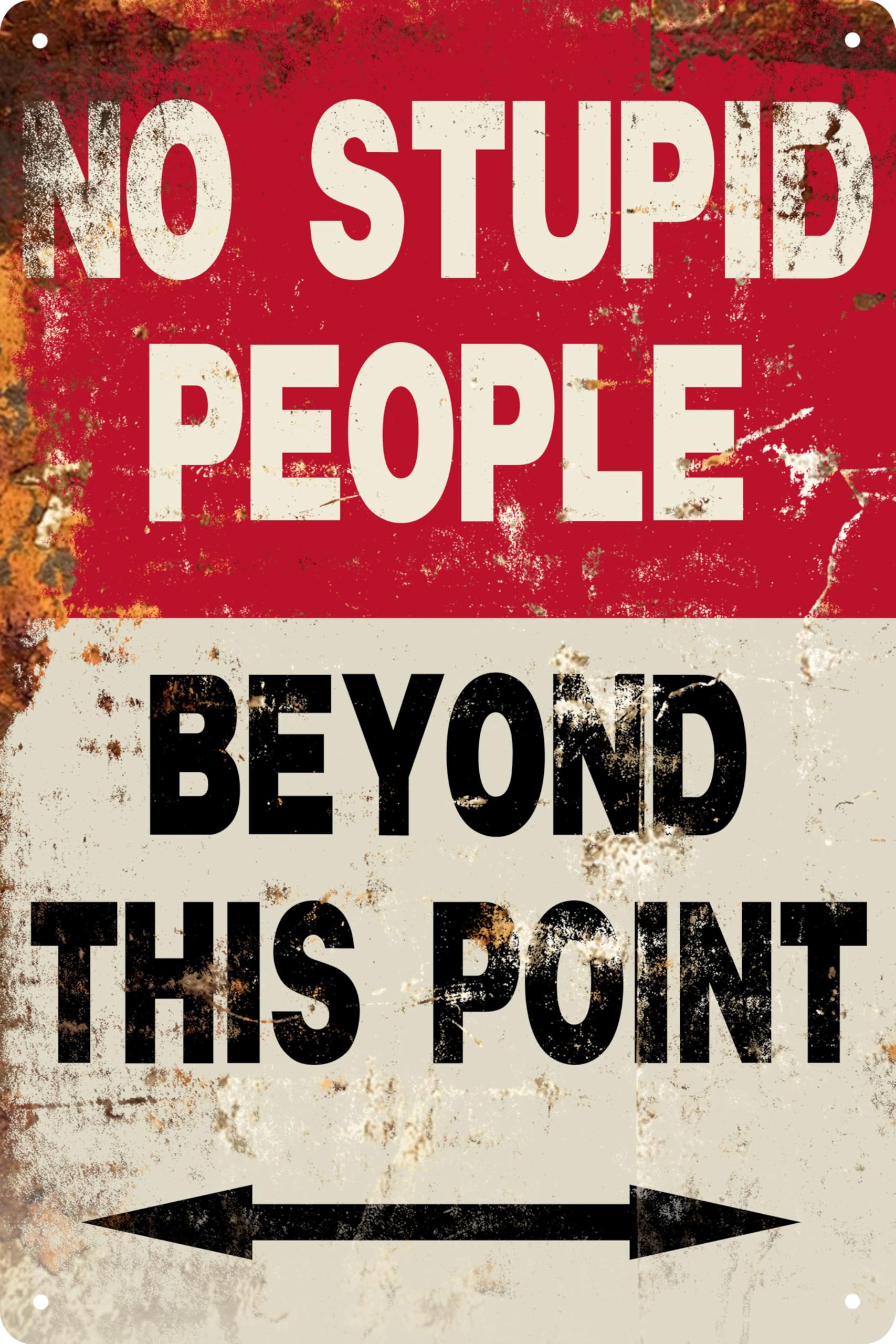 Metal Sign Funny Quote No Stupid People Metal Tin Sign Wall Decor Vintage People Beyond This Point Tin Sign Retro Decor Gift Wall Decor For Bars