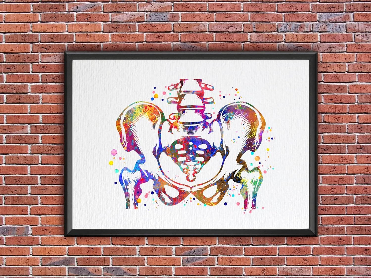Dignovel Studios 11X14 Unframed Pelvis and Vertebrae Sacrum Hip Anatomy Watercolor Art Print Poster Orthopedic Skeletal System Spine Chiropractic Wall Hanging Decor DN888