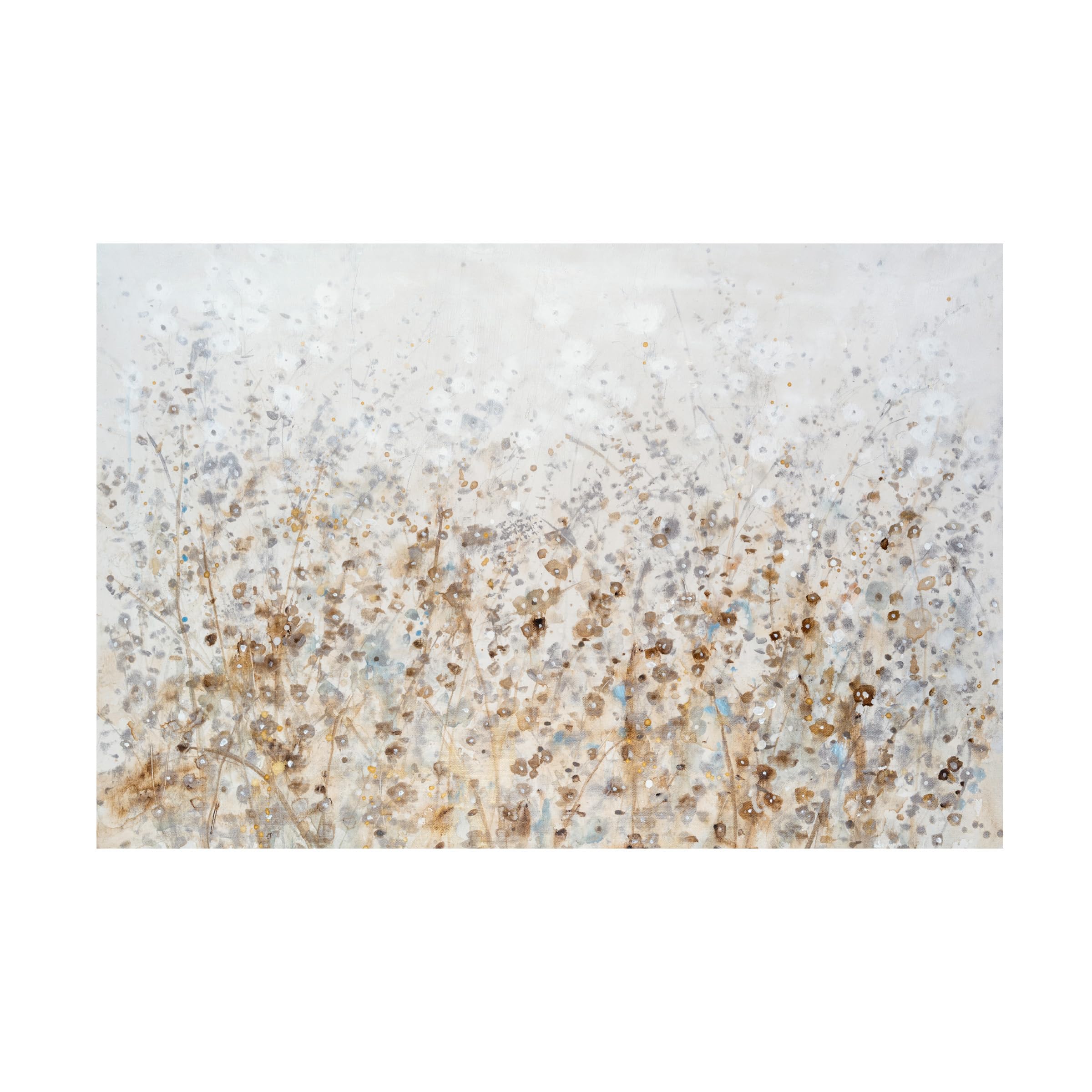 Trademark Fine Art Canvas Wall Art - Tim OToole 'Wildflower Cluster II' Wall Art for Living Room, Bedroom, or Office Décor