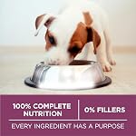 Purina ONE Dry Puppy Food, +Plus Healthy Puppy Formula Lamb - 12 kg Bag (1 Pack)