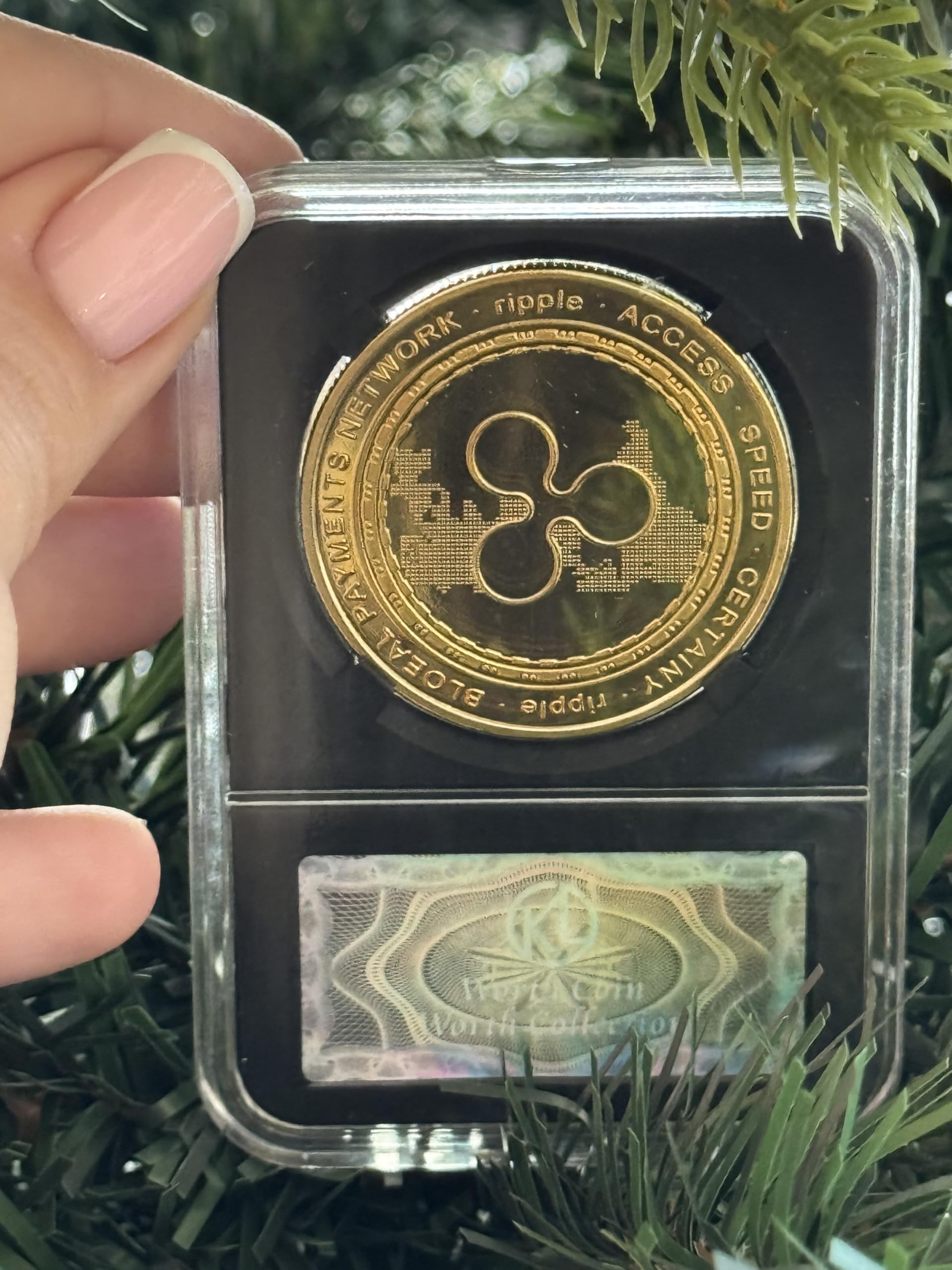 Amazon.com: XRP Physical Coin - Golden Color with Plastic Protective Case,  Limited Edition Cryptocurrency Collectible, for XRP Fans & Investors :  Collectibles & Fine Art
