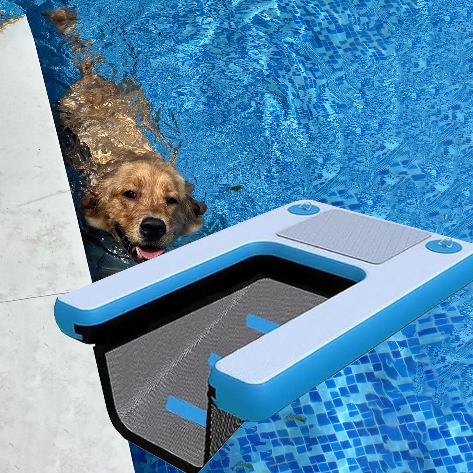 Rampe flottante gonflable pliable pour chien avec pompe et sac - Grande rampe d'eau piscine