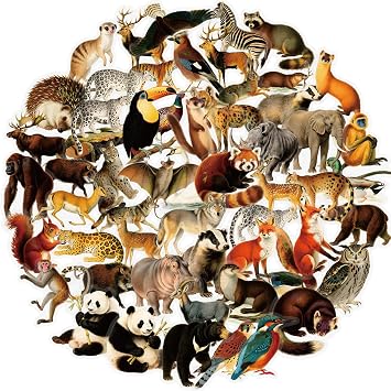 56pcs Realistic Wildlife Animal Stickers Glossy PET Transparent Decals for Scrapbooking Journals Laptops Water Bottles Phone Cases Luggage DIY Decoration Teens Adults