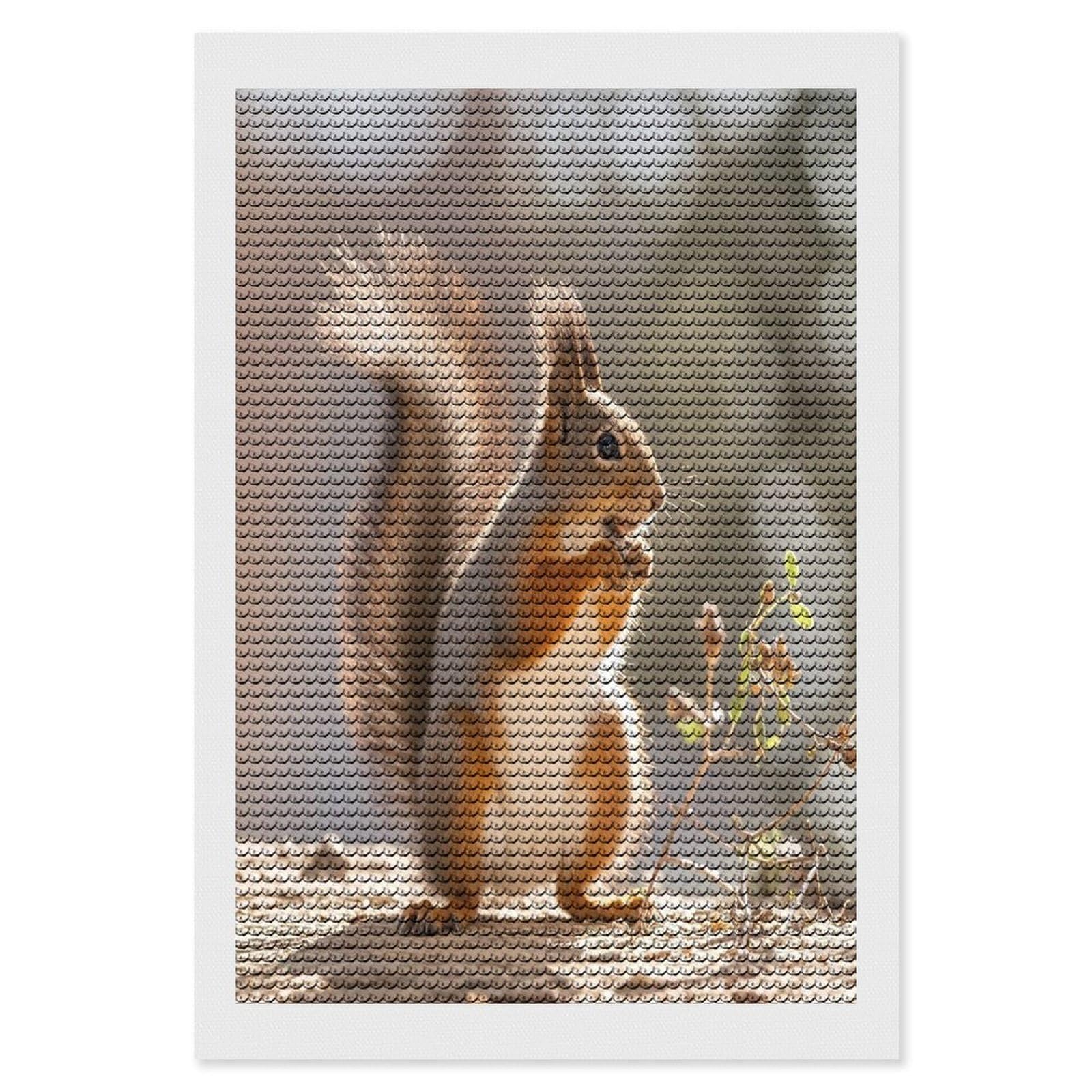 FekiLoot Squirrel Funny Animal Diamond Painting Kits for Beginners DIY Diamond Art Kits for Adults Full Drill Round Diamond Dot Gem Art Painting Fun DIY Crafts for Home Kitchen Wall Decor Gift 8"x12"