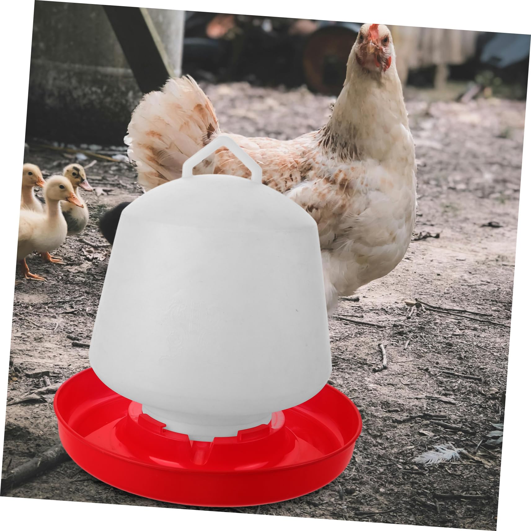 Mangiatoia per Pollame e Contenitore per Alimentazione, Secchio Anti-schizzi in Plastica Resistente da 16 Litri, Adatto per Polli, Oche e Uso Domestico o Professionale