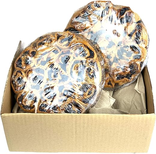 Box Degustazione Pitta 'Mpigliata Calabrese. Dolci Tipici Calabresi. 2 vassoi di Pitta 'Mpigliata Cosentina. Ideale da mangiare come dessert secco. CasaFolino