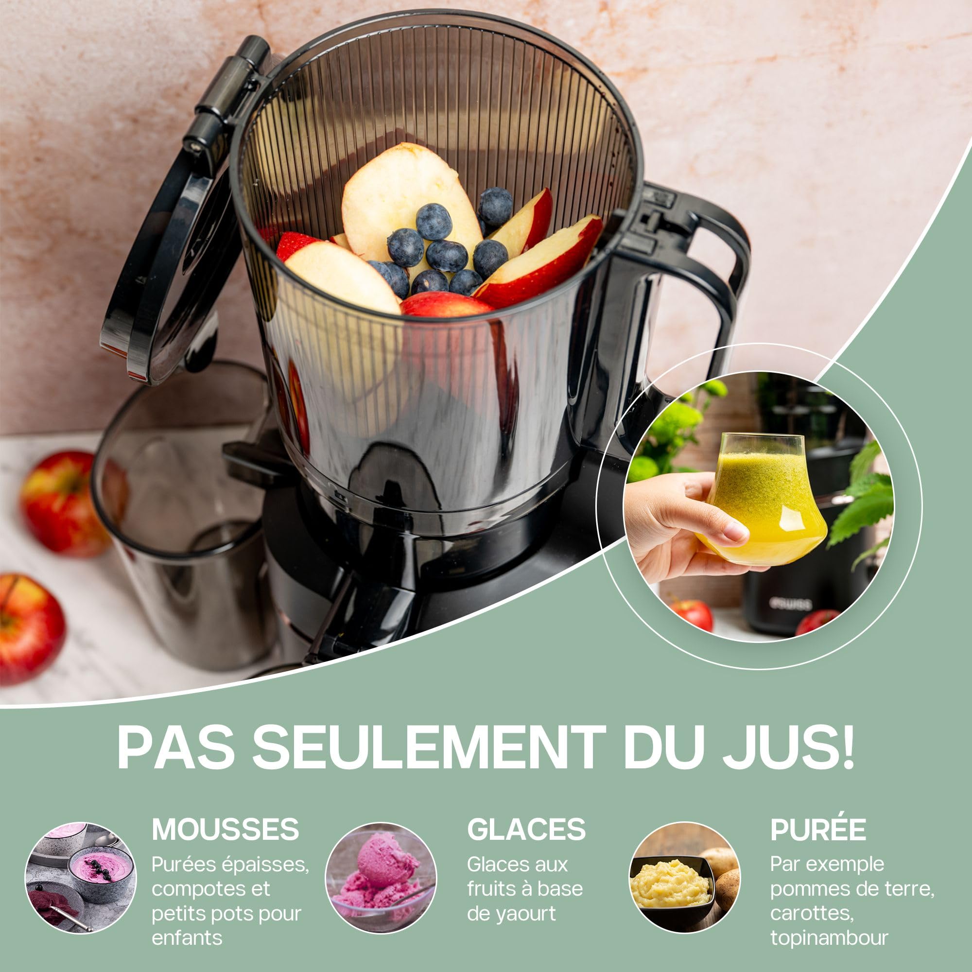 Centrifugeuse Extracteur de Jus 135 mm, Masticating Juicer 0,5L, 37 tr/min, 4SWISS