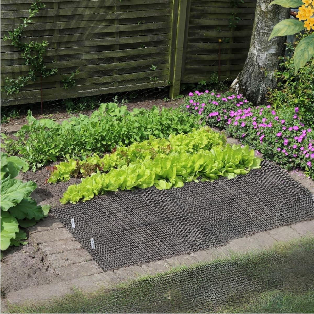 Pinchos Anti Gatos 6 Piezas Plástico Anti Cat Mat Alfombra Antigato con Puntas,Anti Gatos,Repelente para Interior Exterior Césped Jardín Protección de Plantas,20x15 CM