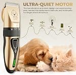 Pantoufles professionnelles pour chiens Rechargeable faible bruit sans fil chien trimmer animal Shaver adapté pour chiens chats animaux avec les cheveux longs mat épais manteaux lourds