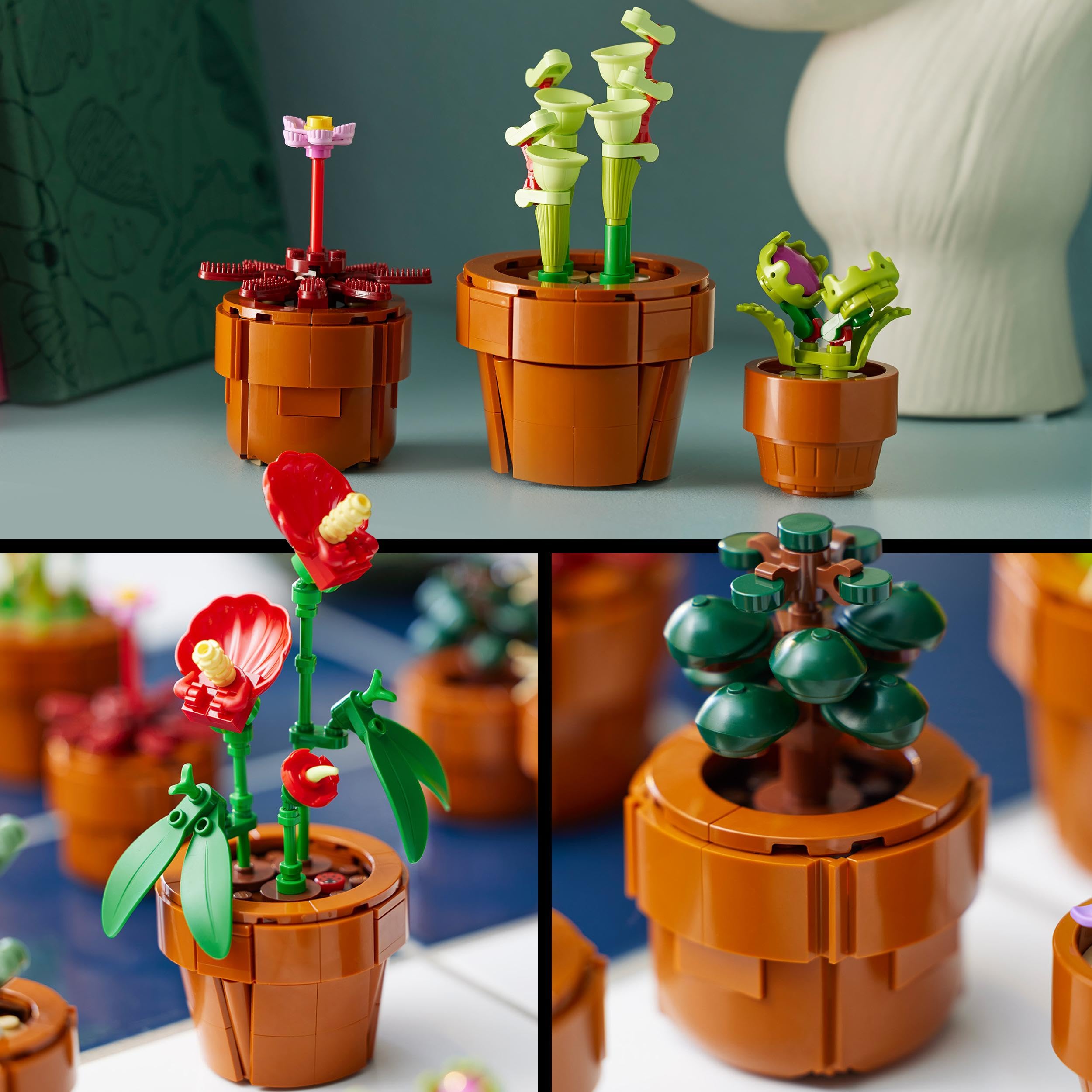 Bundle of LEGO 10309 Icons Sukkulenten Künstliche Blumen Set für Erwachsene + LEGO 10329 Icons Mini Pflanzen, 9 künstliche Blumen zum Bauen, Botanical Collection Sammel-Set für Erwachsene