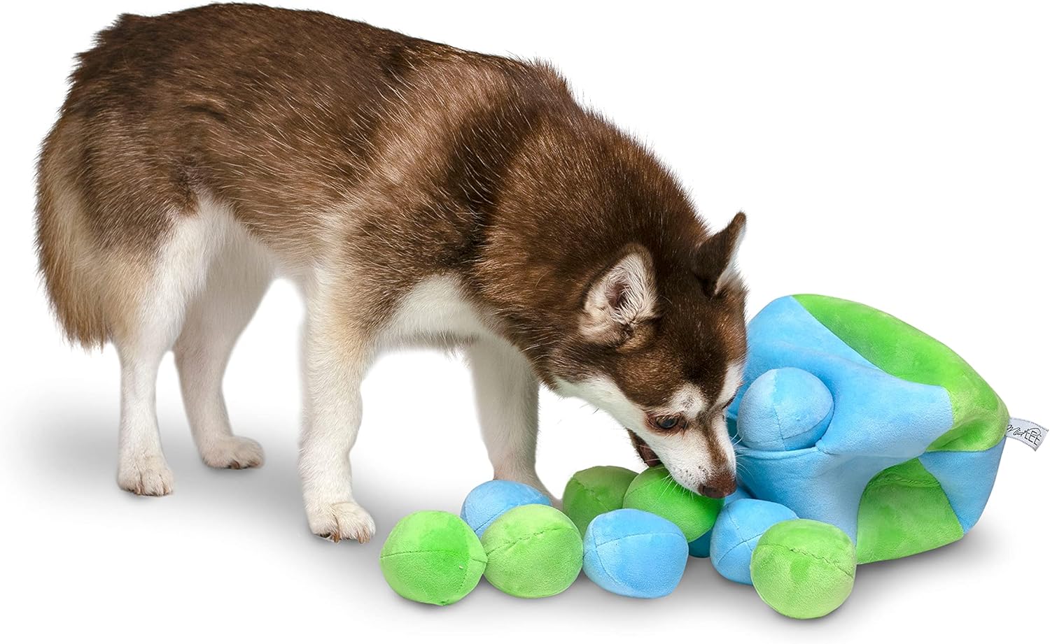 Midlee Hide a Ball Dog Toy - Blue/Green (Small)