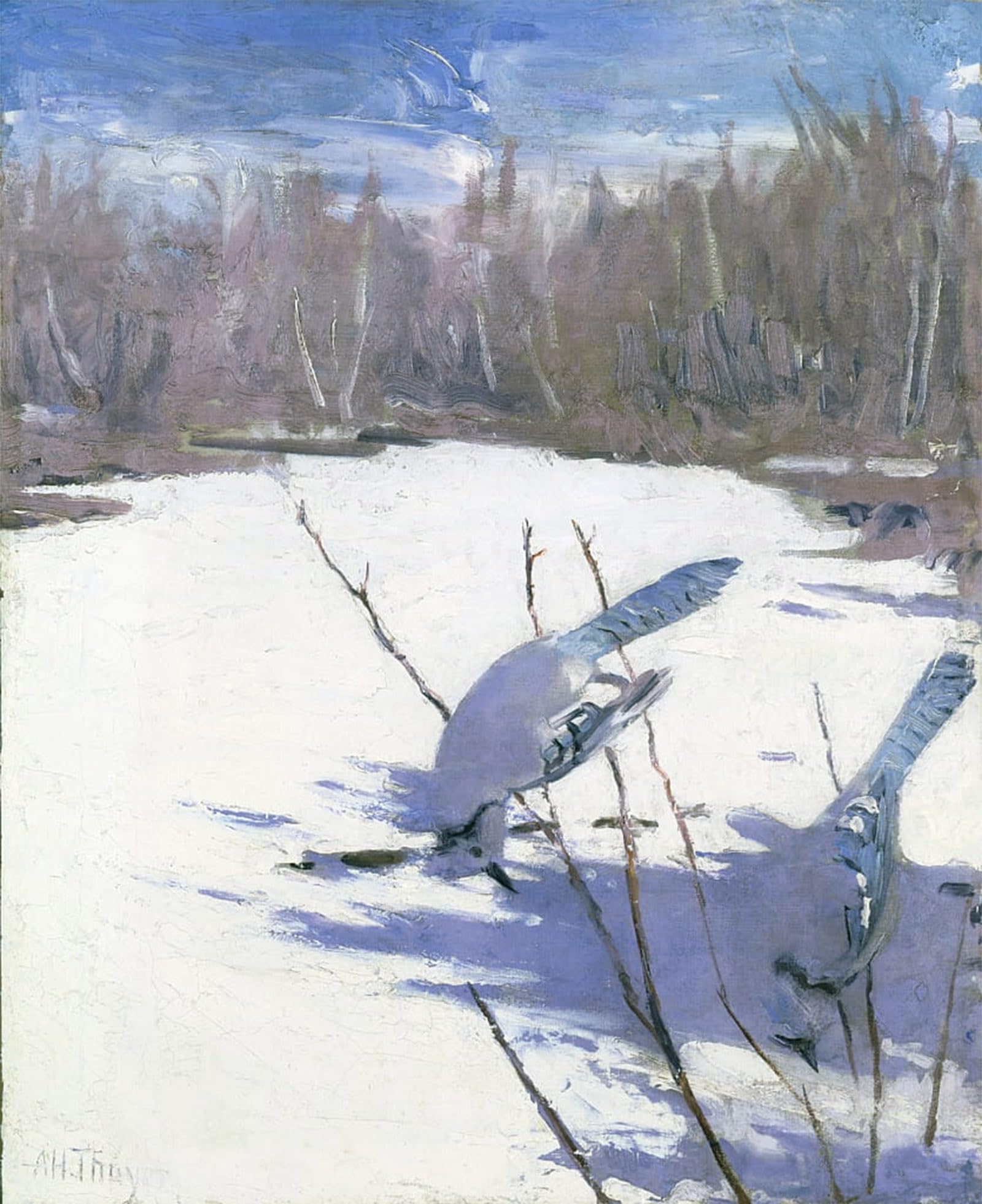POSTERIIk Vintage Classic Picture Landscape Artwork Blue Jays in Winter by Abbott Handerson Thayer Portrait Canvas Painting for Office Home Decor 60x90cm