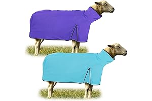 Top-Notch Goat Supplies for Your Beloved Goats