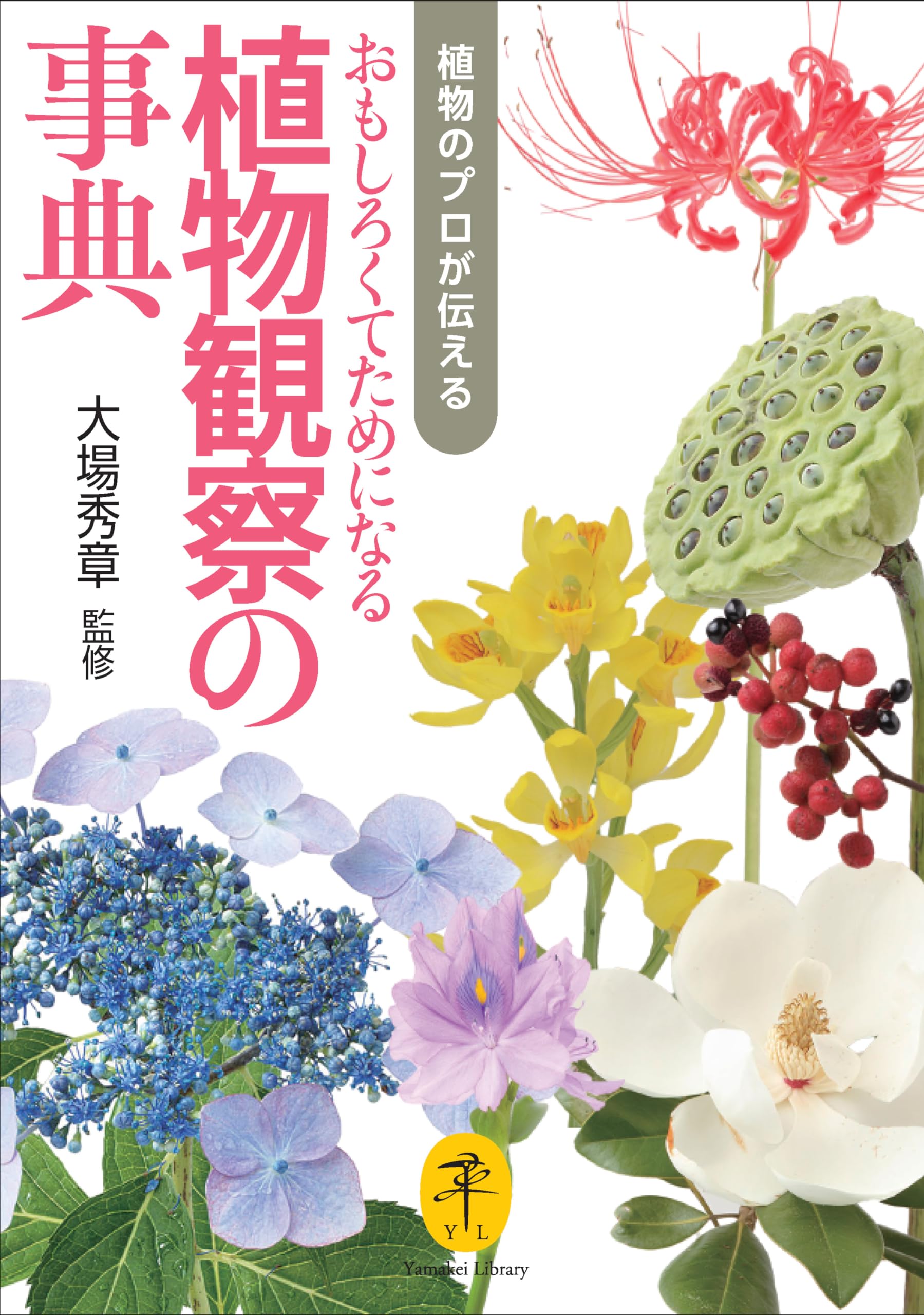 ヤマケイ文庫 植物のプロが伝える おもしろくてためになる植物観察の