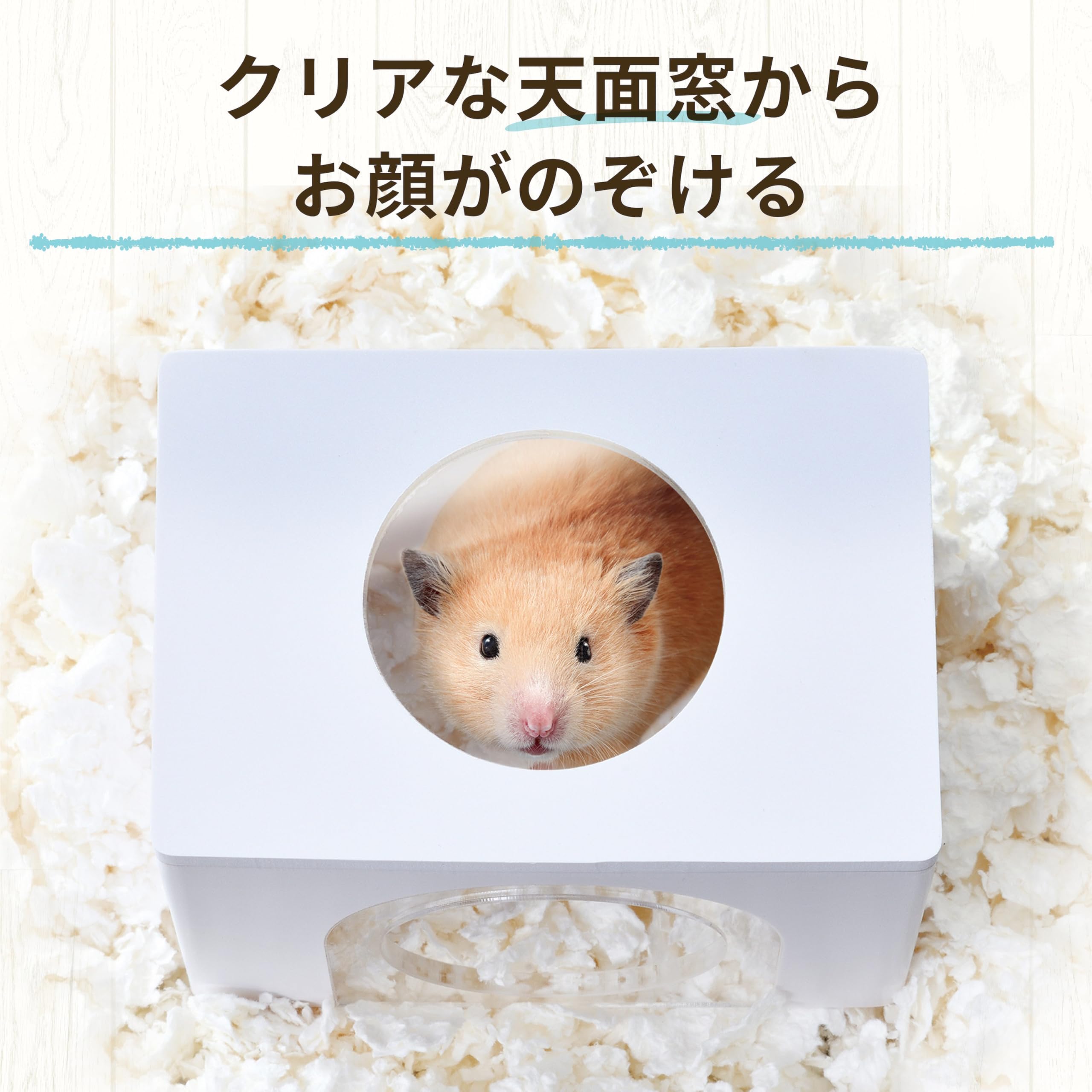 Amazon | ジェックス Harmony ハーモニーハウス 天面窓付き ハムスター Amazon | ジェックス Harmony ハーモニーハウス 天面窓付き ハムスター