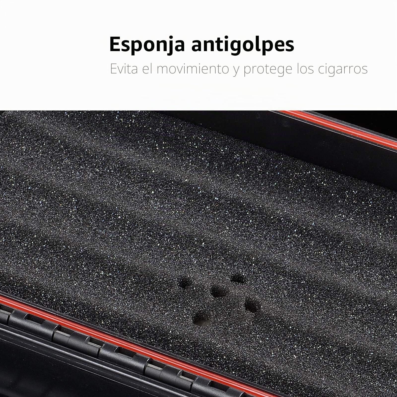 CIGARLOONG Cigar Humidor Viaje Cigar Caso Doble Capa con Higrómetro y Humidificador (Color: Rojo)