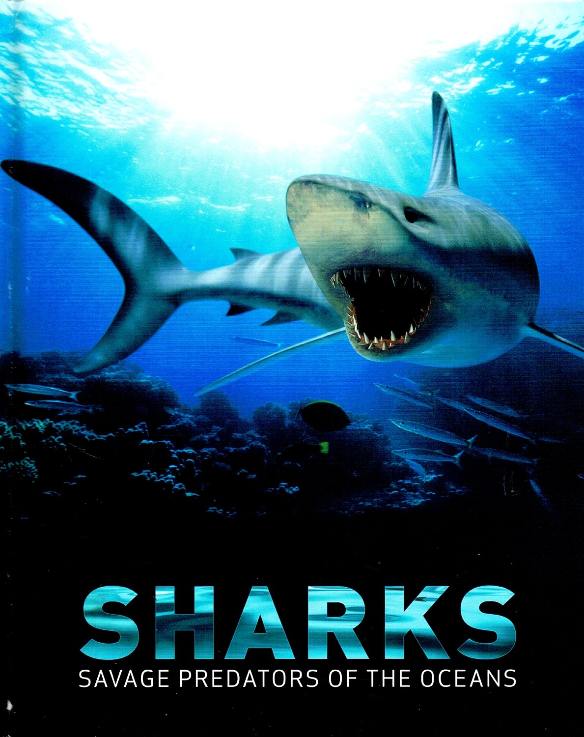 Sharks