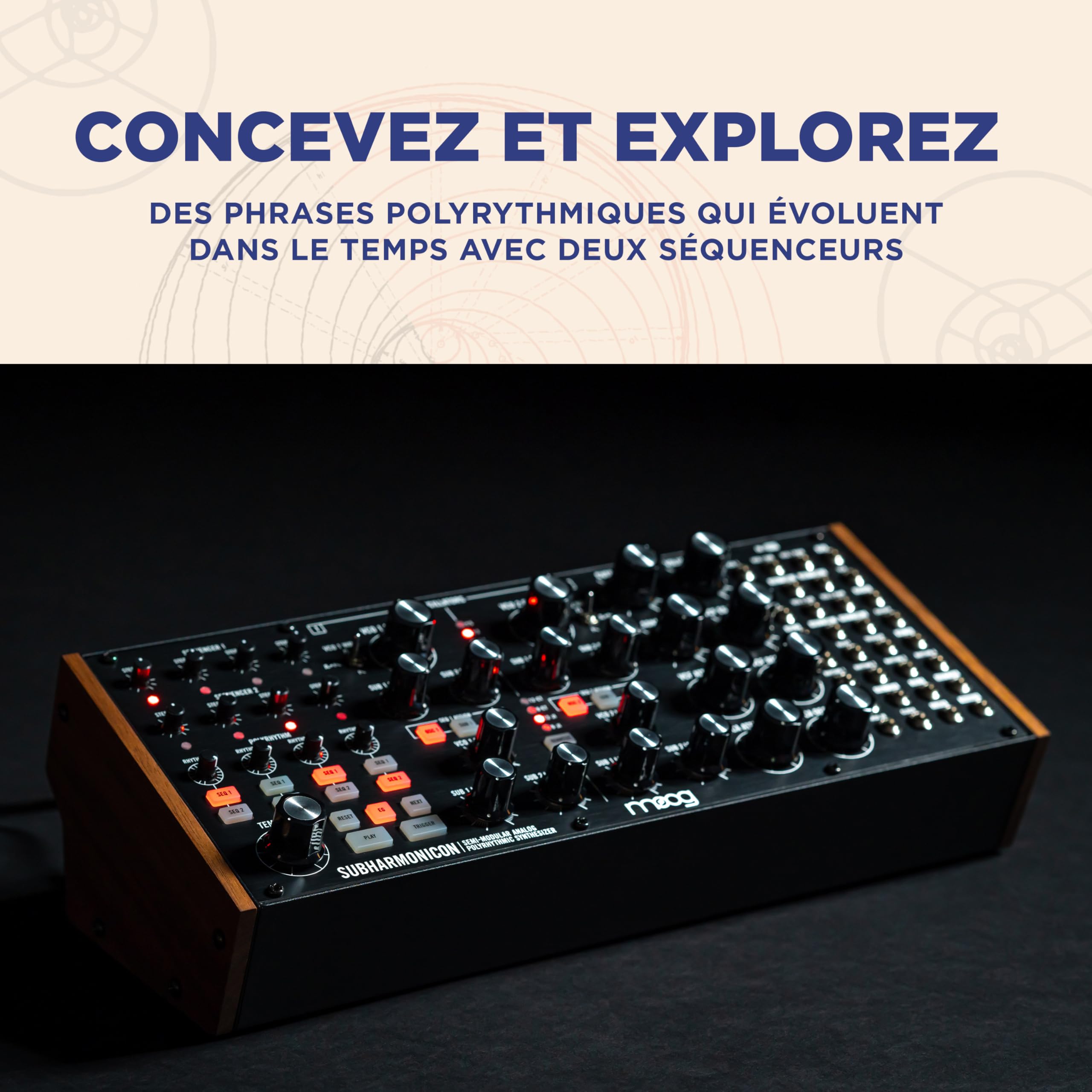 MOOG Subharmonicon Synthétiseur Polyrythmique Analogique Semi-Modulaire avec Deux Séquenceurs, MIDI et Baie de Patch