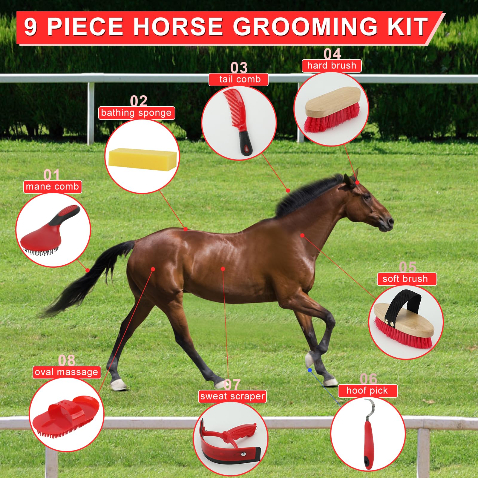 9 Pieces Grooming Kit with Tote Bag - Horse Brush Set, Sweat Scraper, Sponge, Hoof Pick, Curry Comb for Riders and Beginners (Blue) - image 3