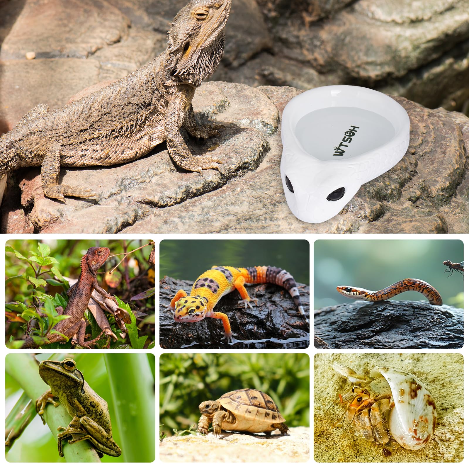 Reptilien-Wasserschale Aus Harz – Schlangenförmig, Kippsicher, Für Geckos, Schlangen & Schildkröten