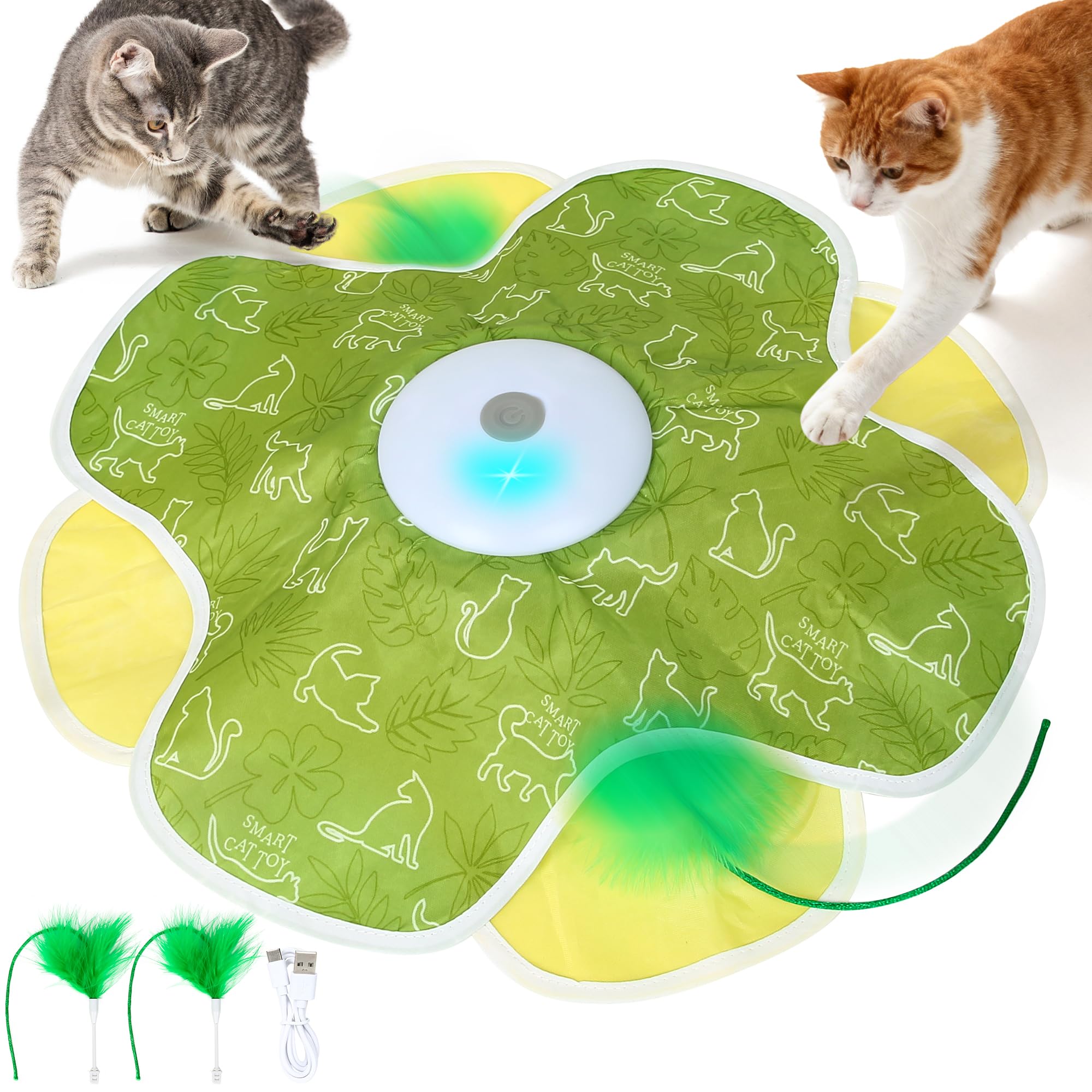 Jouet interactif avec plume pour chats d intérieur pour les occuper pendant votre absence