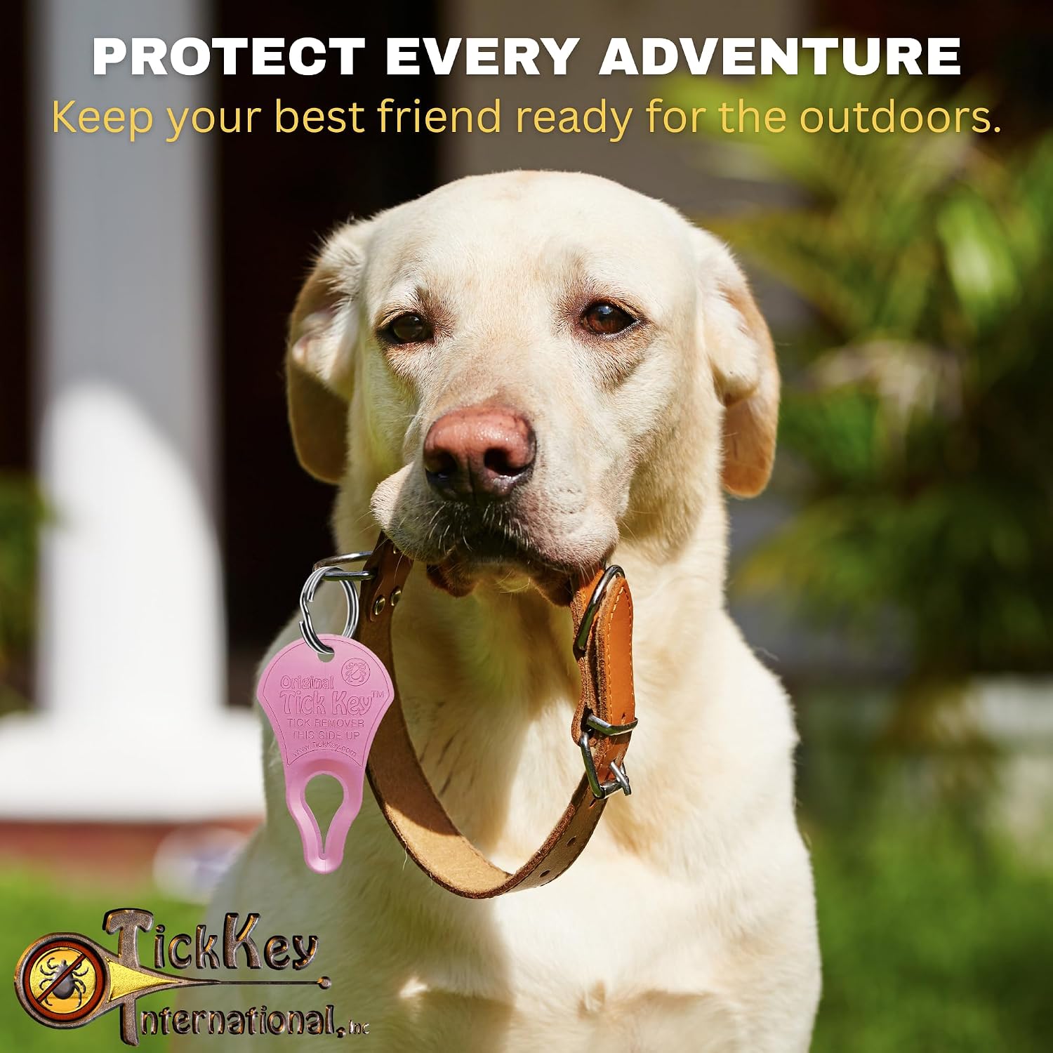 Tick Key The Original Tick Key - Tick Detaching Device - Pink