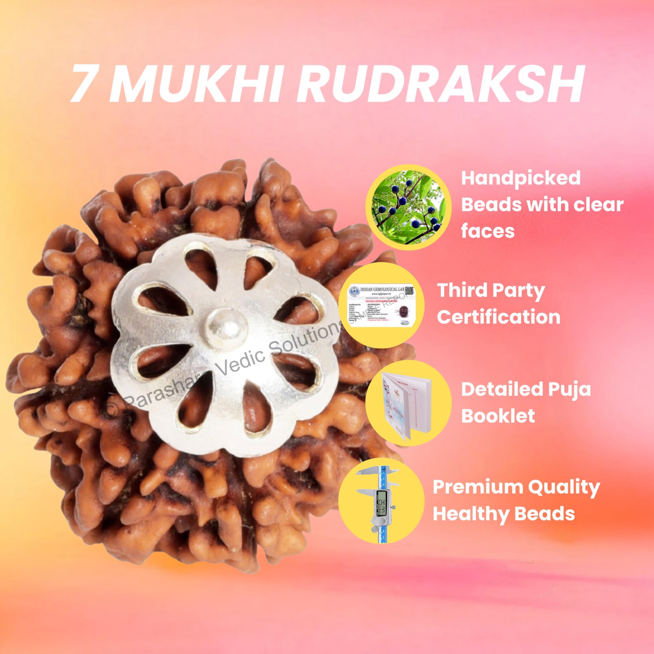 ARKAM Seven Mukhi Rudraksha Certified/Original Nepali 7 Mukhi Rudraksh/Natural 7 Faced Rudraksha with Silver Pendant (Brown) with Certificate and Puja Instructions 1