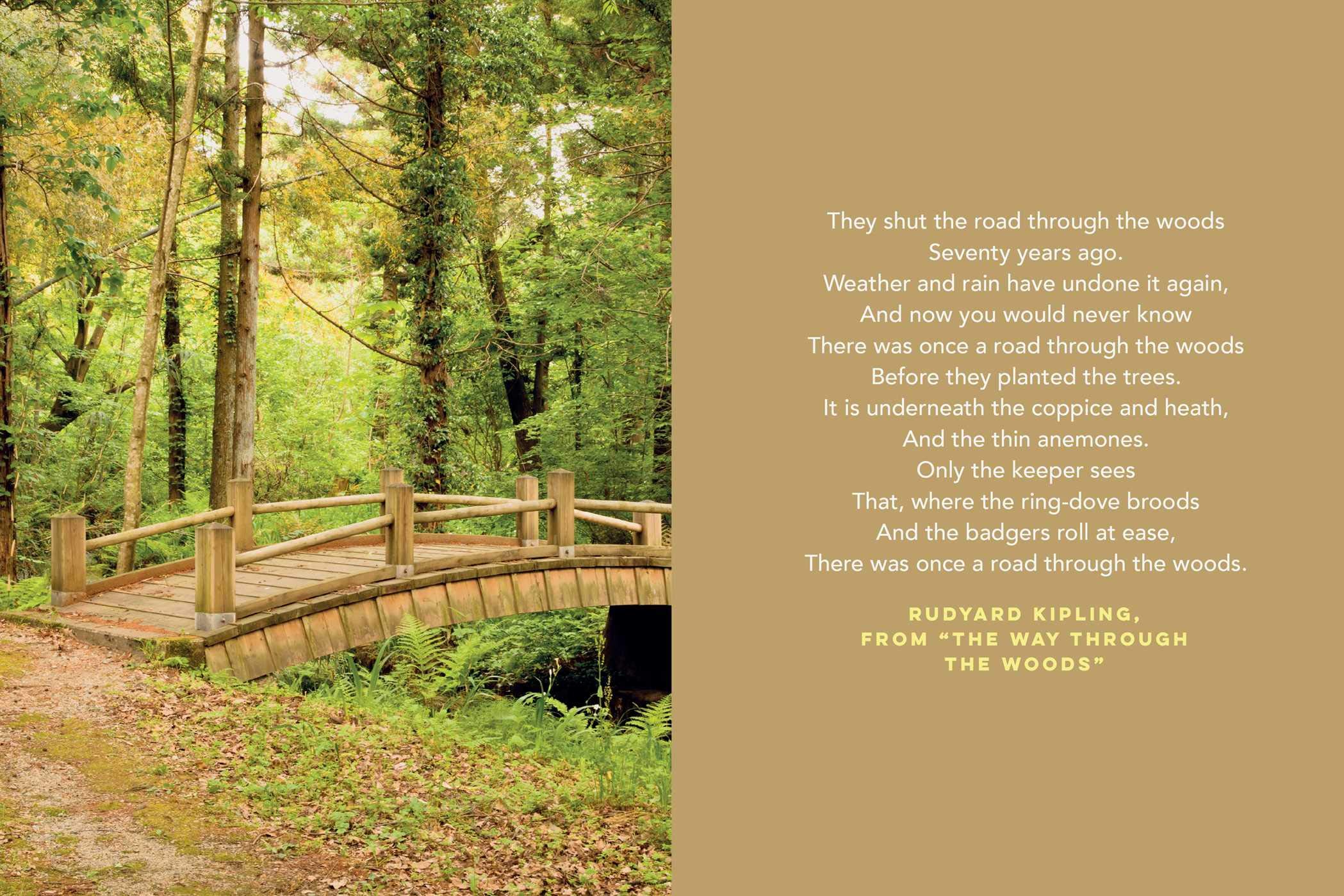 The Little Book of Forest Bathing: Discovering the Japanese Art of Self-Care