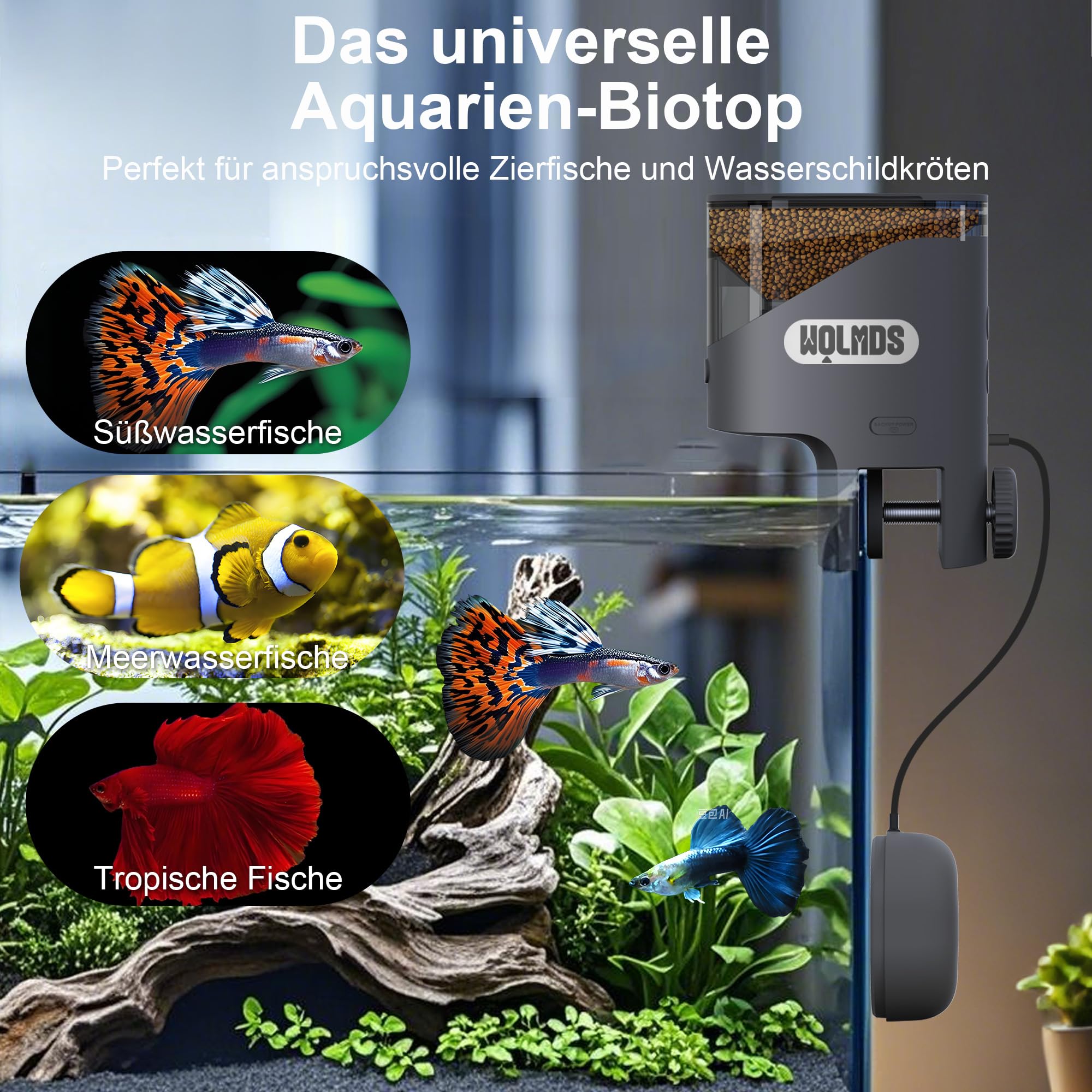 WiFi Futterautomat Aquarium mit 2,5K Kamera, 2,4/5G Smart App, 0,2g Präzision für Flockenfutter, 200ML Feuchtigkeitsschutz, Sicherer Automatischer Fischfutterautomat für Urlaub & Alltag