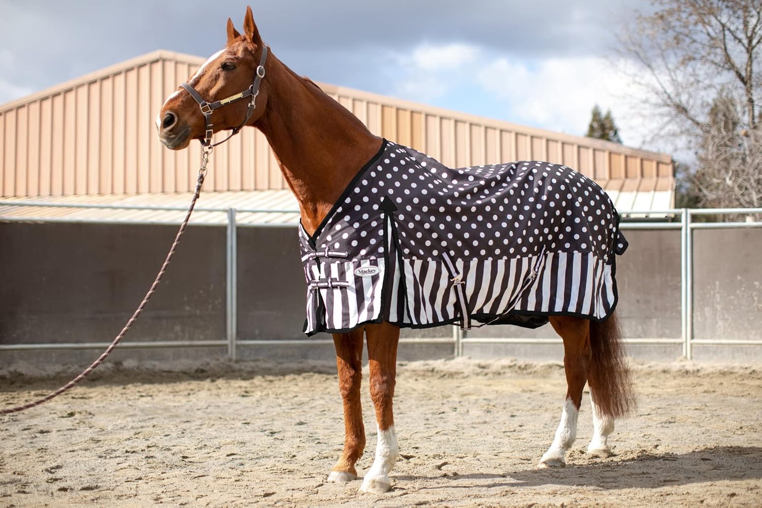 Mackey USA Dandy Rain Sheet - XLarge