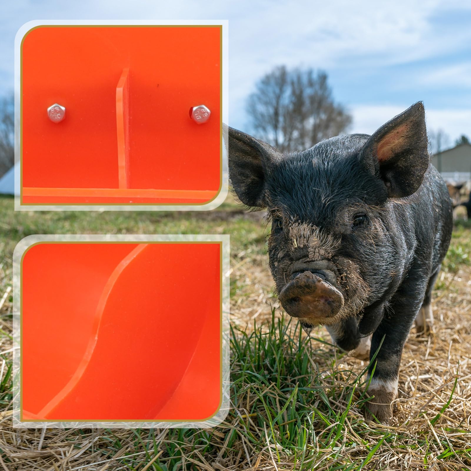 Hemobllo Mangiatoia per Maiali Resistente in Plastica Arancione 4 Scomparti Stili multipli per Suinetti per Allevamenti Suini