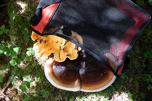 Miniatura 5 de Earth Biome Bolsa de lona encerada de tamaño mediano y malla para forrajería, recolección de frutas, mercado de agricultores (rojo y naranja)