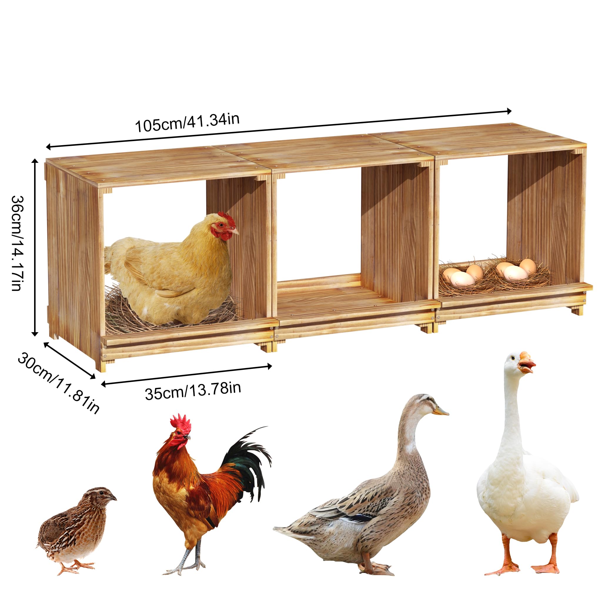 3 Posti Nido per Galline Polli Ovaiole in Legno di Pino Versatile Sicuro | Facile da montare e utilizzare 105x30x36 cm