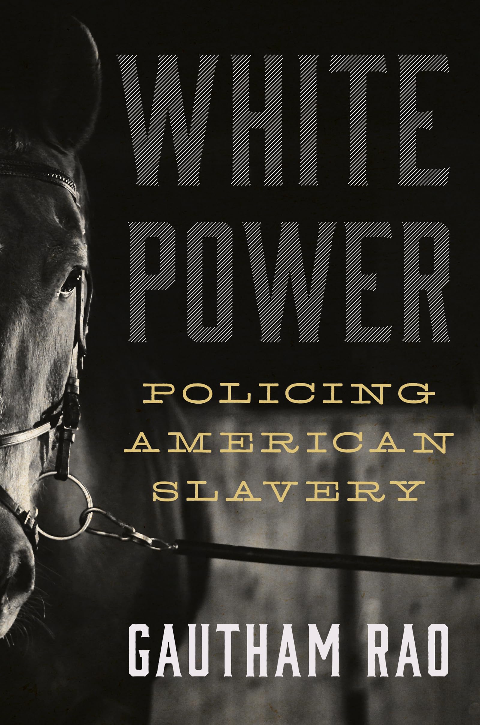 White Power: Policing American Slavery (W. Hodding Carter III Books)