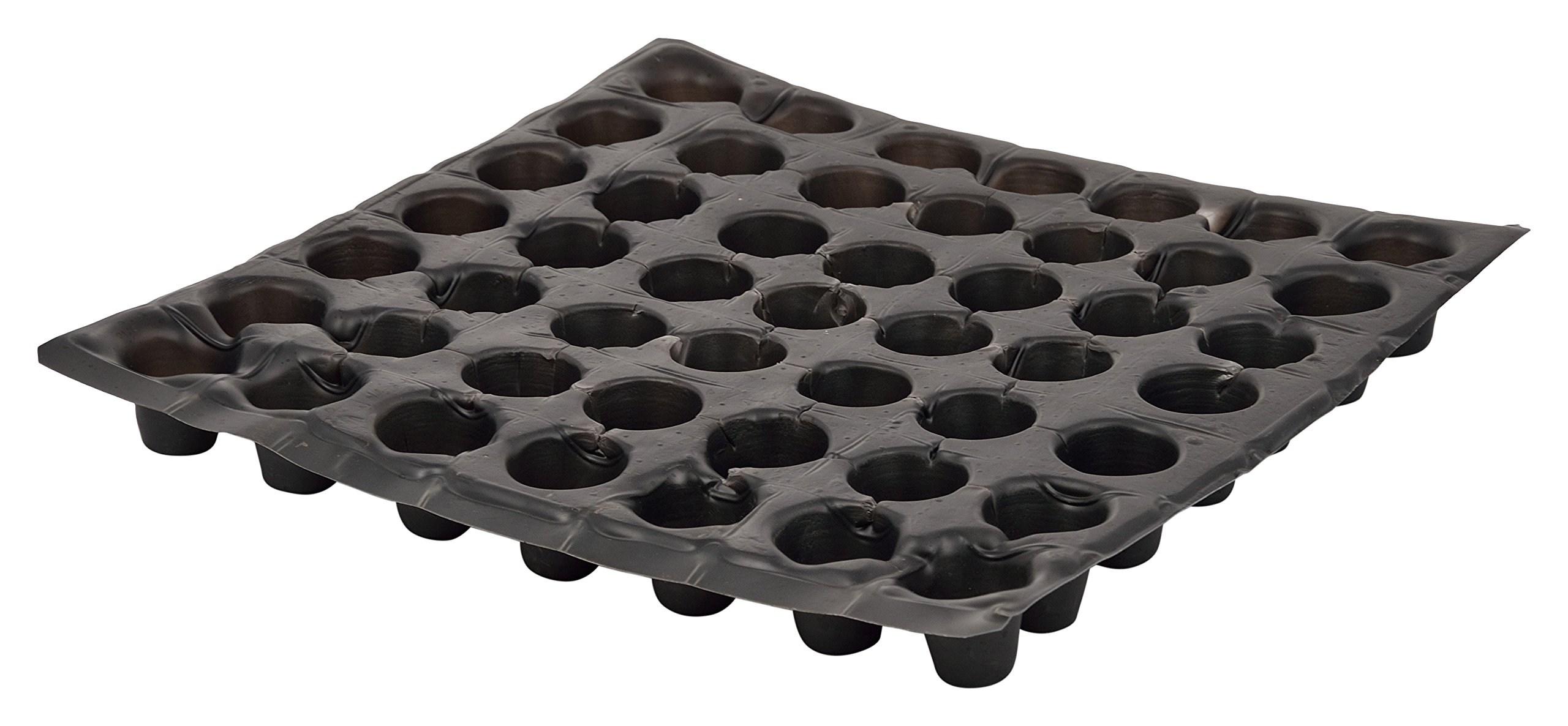 IRP Black Plastic Seedling Nursery Pro Seed Tray for Gardening, Planting, Vegetables, Fruits and Flowers (Pack of 6)