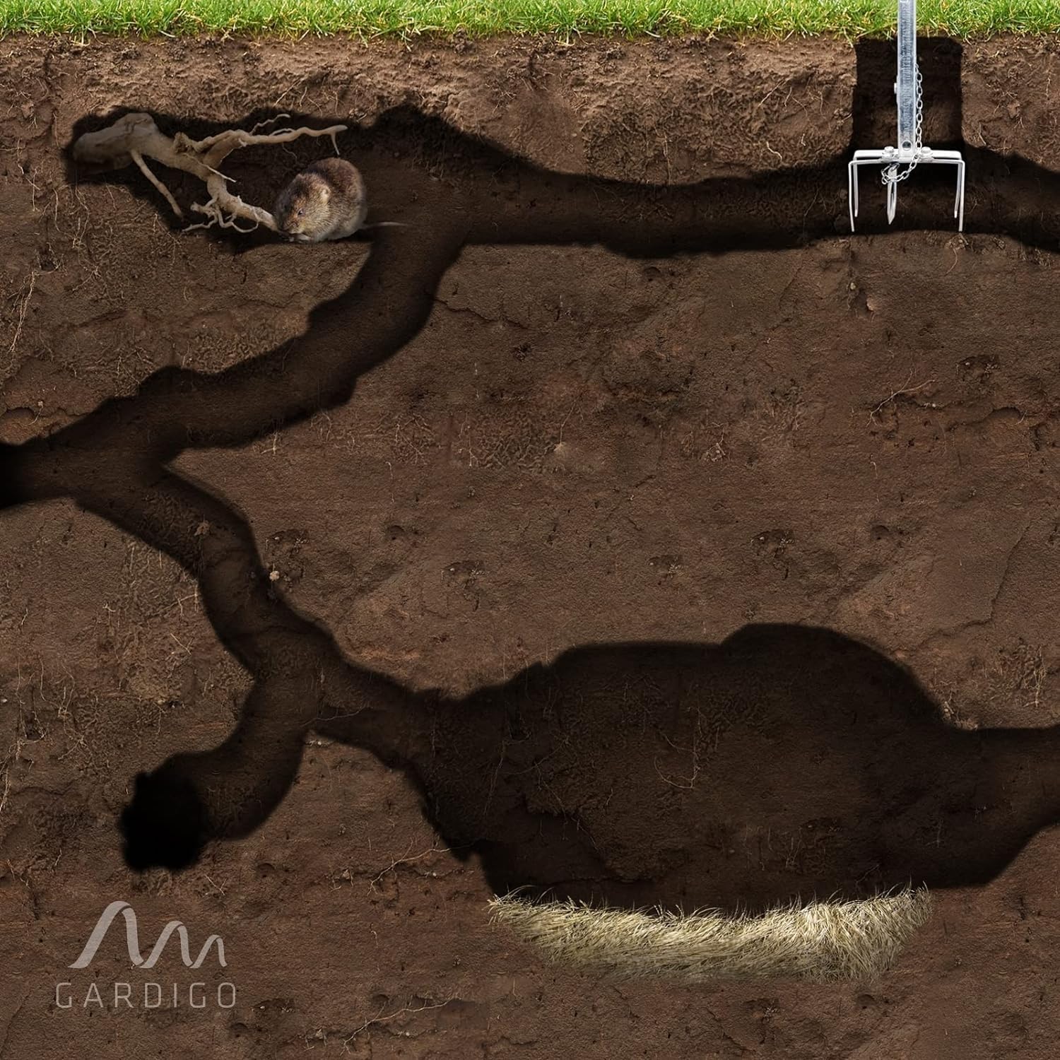 Gardigo® 4x Trappole per Talpe e Arvicole | Trappole per Talpe Professionali | Pinze in Metallo Riutilizzabili con Porta Esca e Catena | Antitalpe da Giardino | Cattura su Entrambi i Lati | Anti Talpa