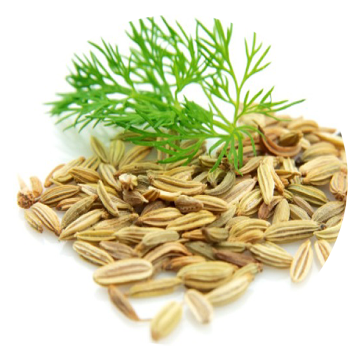Benefits of Dill SeedsAmazon.co.ukAppstore for Android