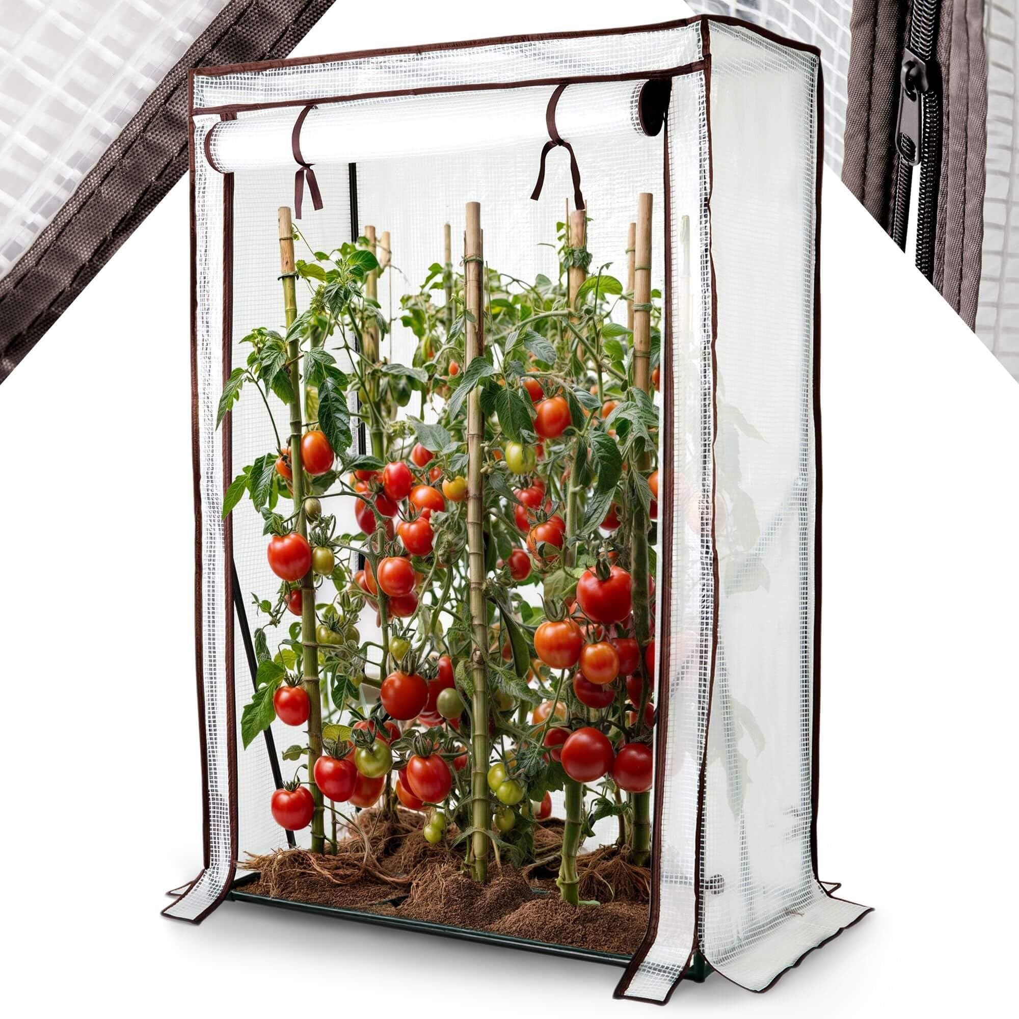 Arebos Tomatengewächshaus Foliengewächshaus | Gewächshaus klein | Tomatenhaus, Treibhaus mit Tür zum Aufrollen | 100 x 50 x 150 cm Frühbeet, Gemüse, Blumen, Obst, Garten | Gewächshausfolie
