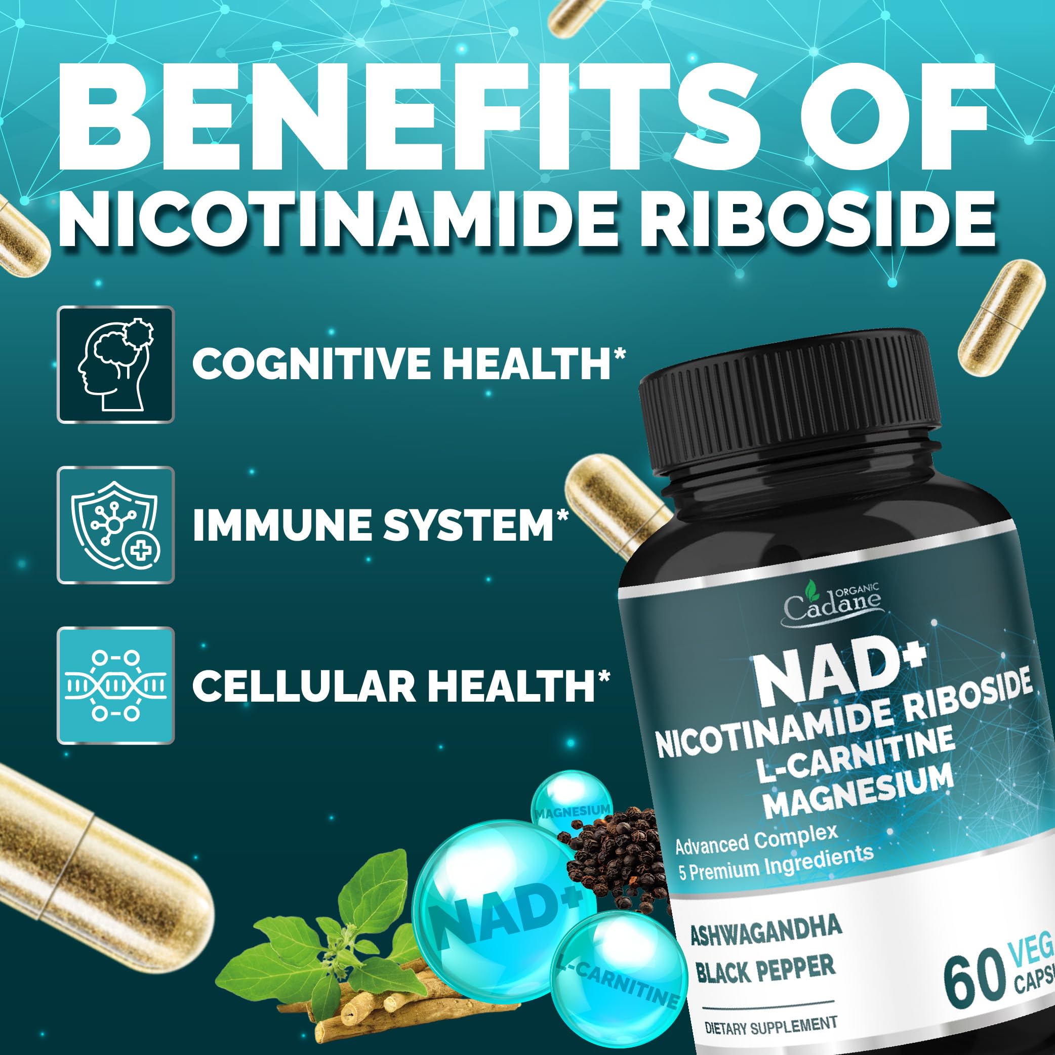 l carnitine and ashwagandha together + L-Theanine  Kasha Nutrition Organic Cadane Nicotinamide Riboside Supplement