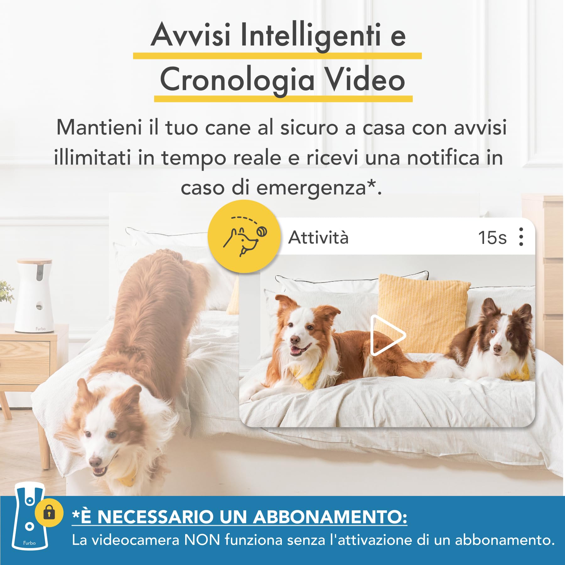 Furbo Videocamera 360° per Cani con Pacchetto Sicurezza Casa