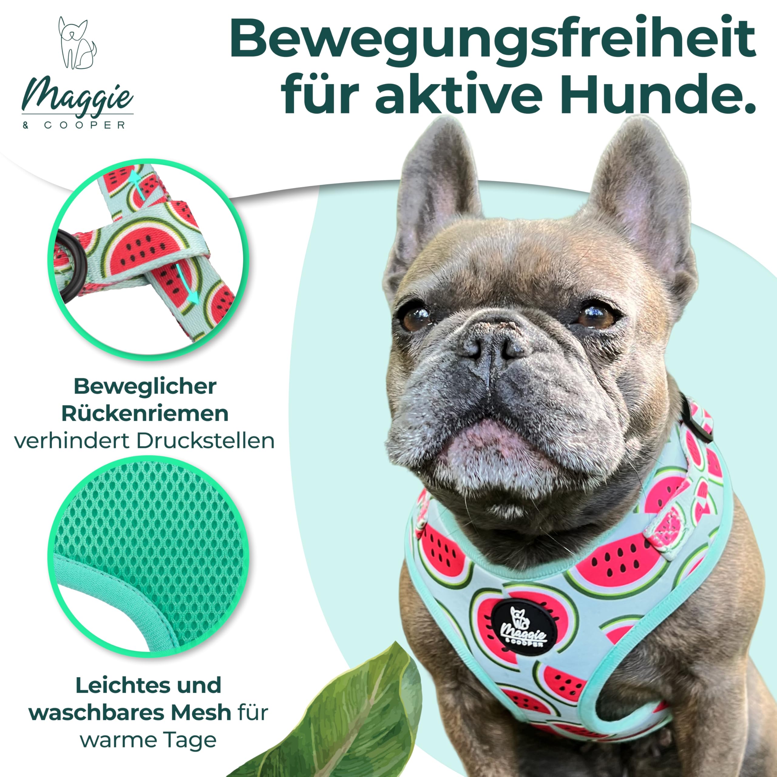 MAGGIE & COOPER Juego de correas para perros – Diseño de melón – 5 piezas: collar, arnés, correa, lazo, dispensador de bolsas de excrementos – 4 tamaños – Caja de regalo (L)