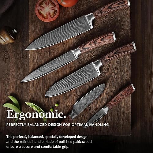 Miniatura 3 de Wakoli EDIB Juego de Cuchillos de Damasco de 5 Piezas – Juego de Cuchillos de Chef Profesionales con Hojas de Núcleo VG10, Acero de Damasco de 67