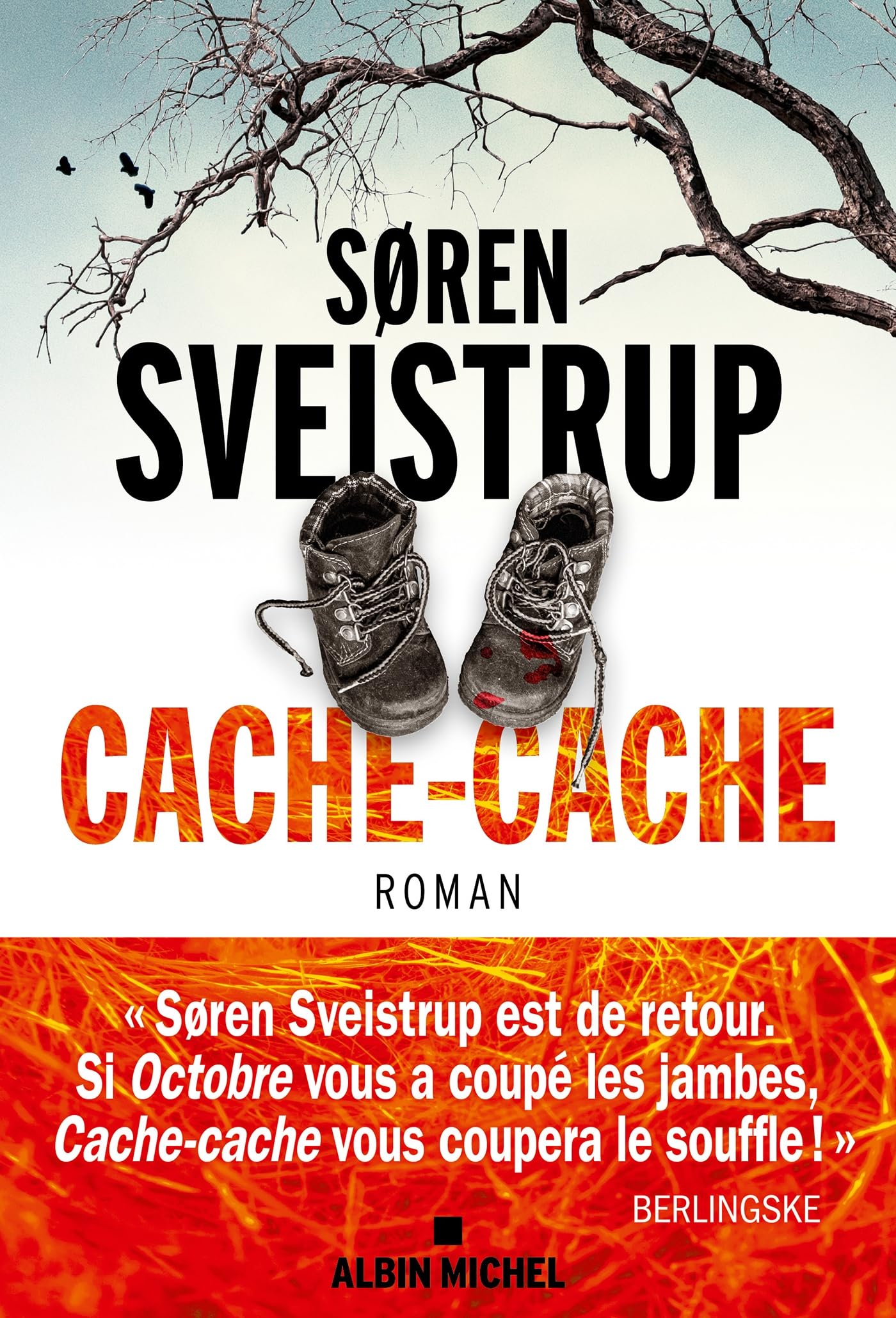 Cache-cache: Le roman qui a inspiré la série Netflix