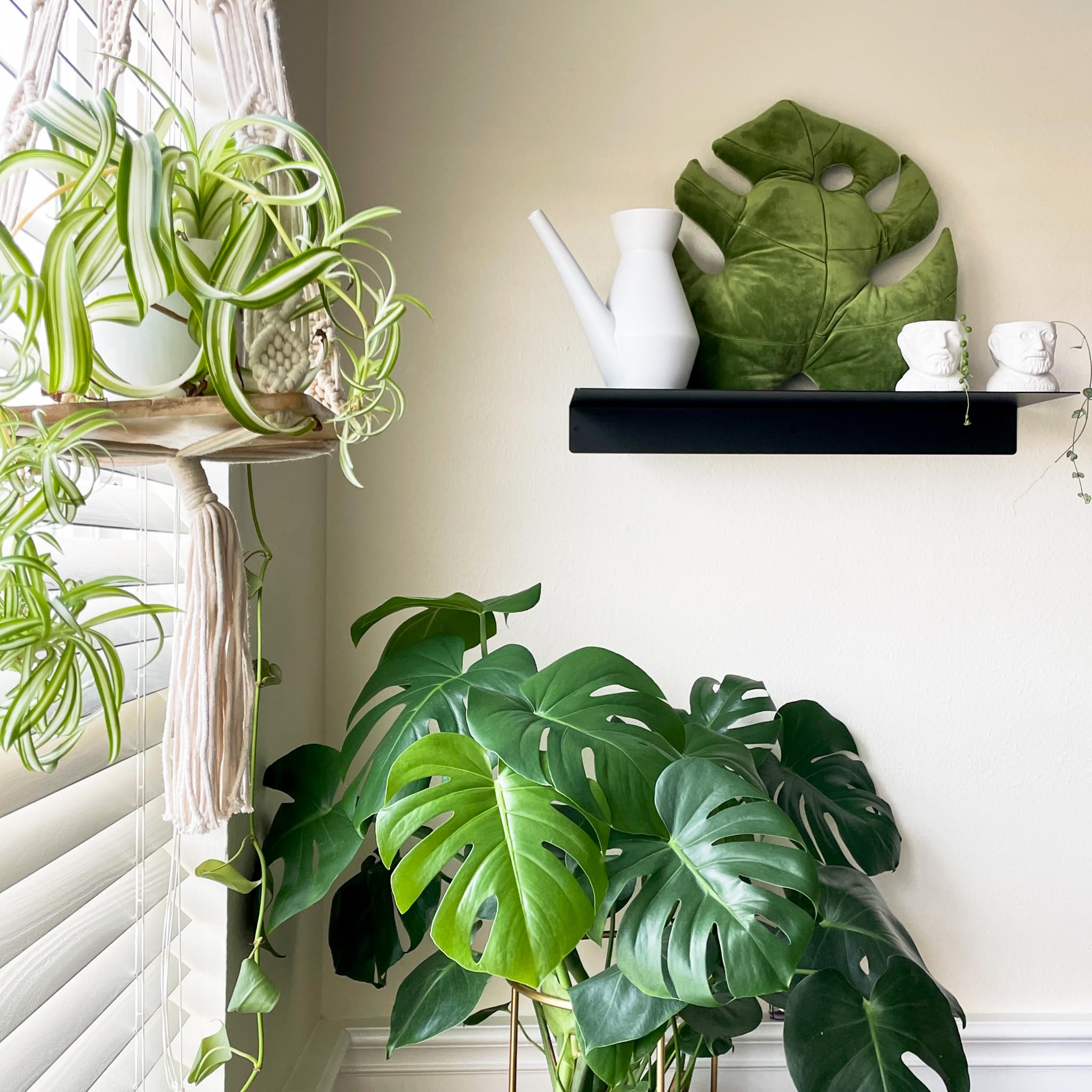 Green Philosophy Co. Plush Succulent Leaf Pillow 3D Accent Anthurium Warocqueanum Plant Throw Pillows for Couch Sofa Living Room Home Decor for Plant & Garden Lovers, Green Thumb Family & Friends: Monstera Deliciosa - Mossy Earth