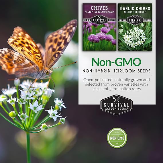 Chive Seeds 2 Variety Pack for Planting - Survival Garden Seeds