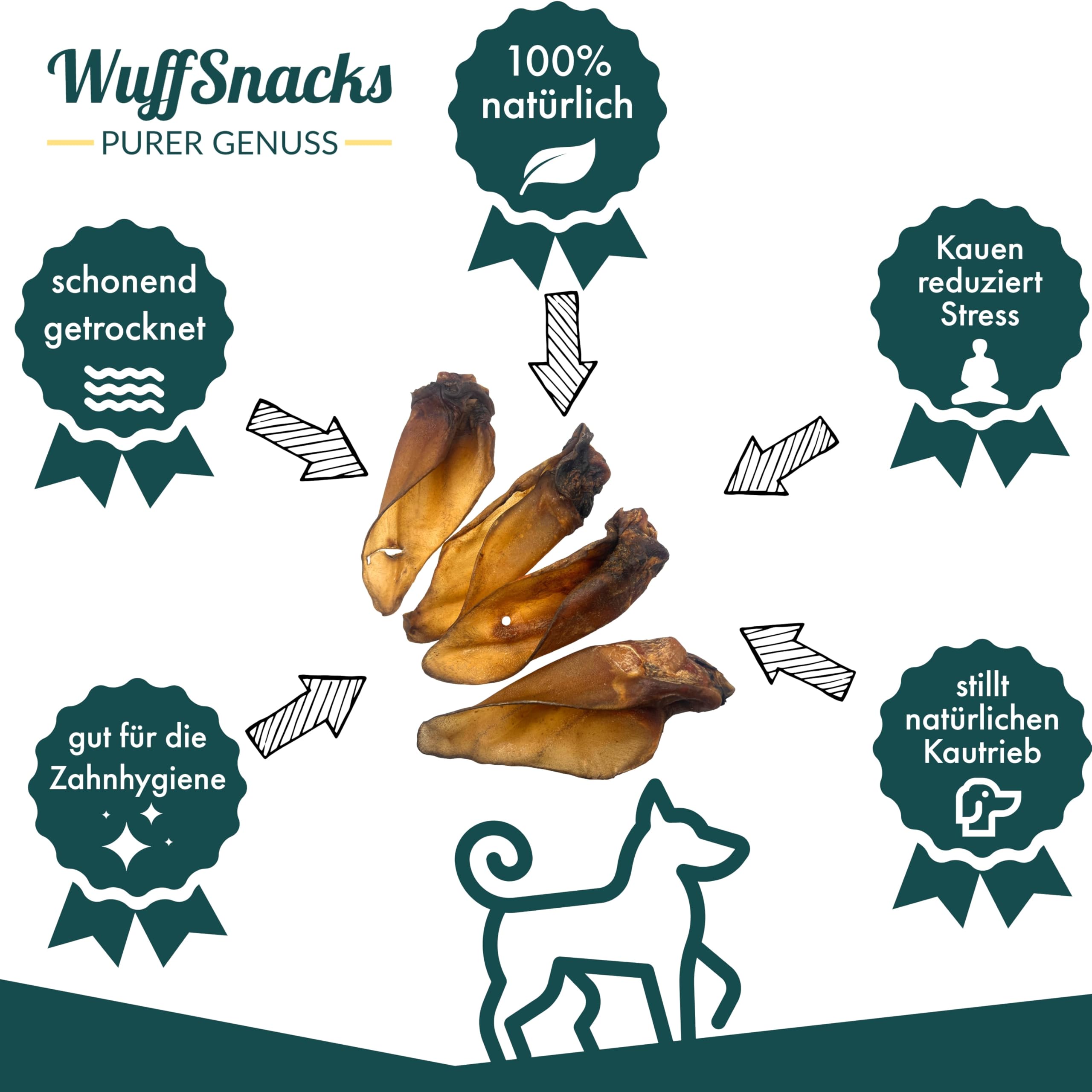Lot de 50 oreilles de bœuf avec coquillage pour chiens - Naturelles et de qualité supérieure - Faible en gras et en protéines - Article à mâcher pour les soins dentaires de Wuffsnacks