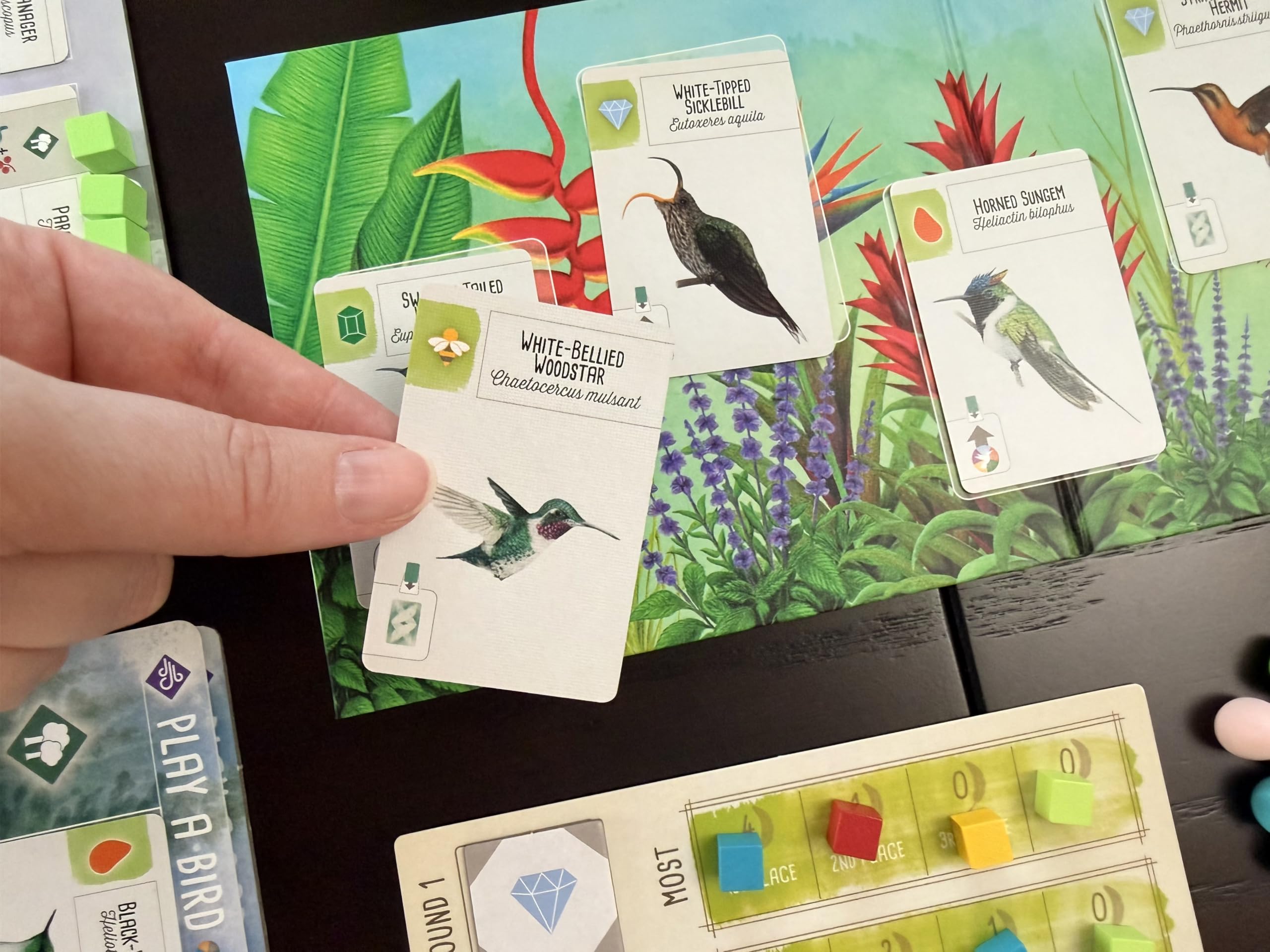 Stonemaier Games Wingspan - Espansione americana, gioco da tavolo, per 1-5 giocatori, a partire dai 14 anni