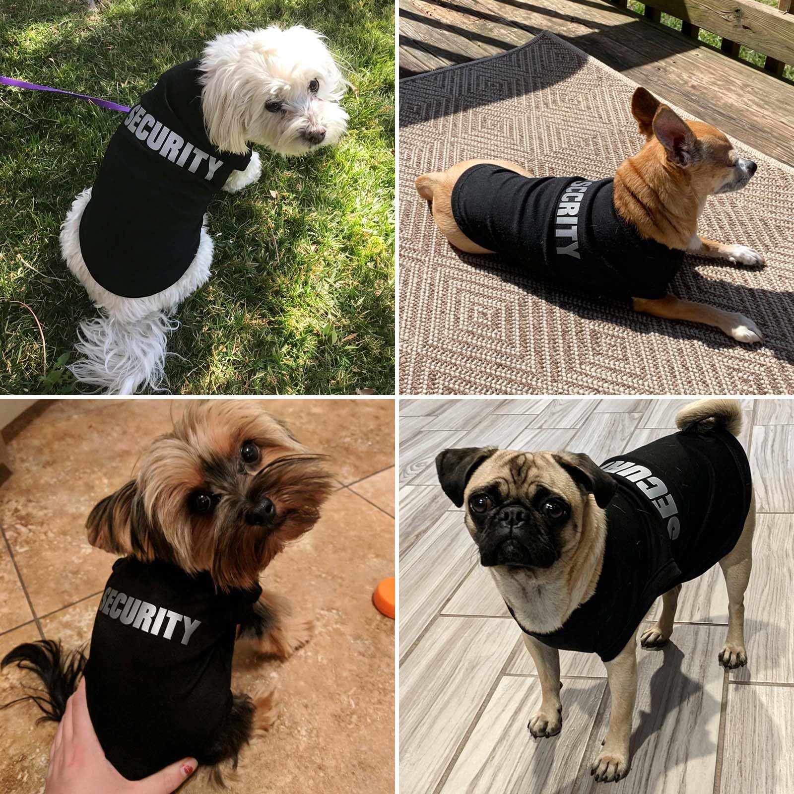Hunde-Shirt, Sicherheitskatzenbekleidung, Kostüme für Cosplay, atmungsaktive Haustier-T-Shirts, Sommerkleidung, Weste für Hunde, Welpen, Jungen und Mädchen (M, schwarz)