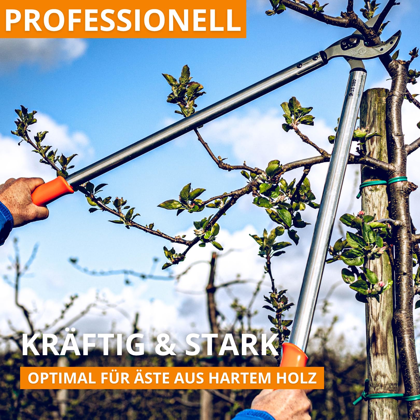Original LÖWE 22 Profi Amboss Astschere 22.080 antihaftbeschichtet Stahlklinge mit Präzisionsschliff - scharfe und leichte Baumschere ideal zum Schneiden von Ästen Zweigen Bäumen Sträuchern, 80 cm