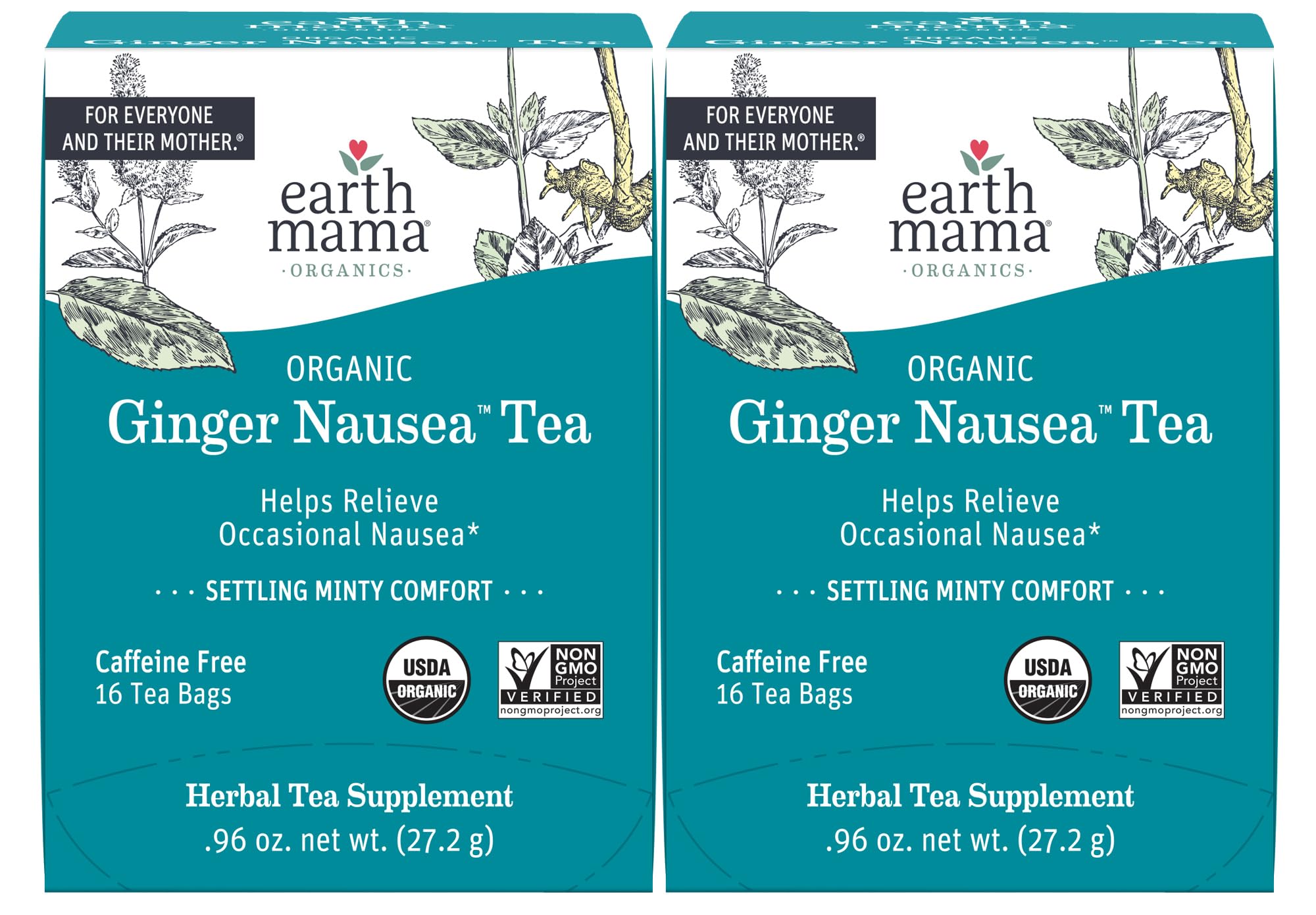 Earth Mama Organic Ginger Nausea™ Tea | Comforts Occasional Nausea + Morning Sickness, 16 Teabags Per Box (2-Pack)